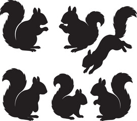 vector set of silhouttee Squirrel  on white background