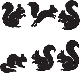 vector set of silhouttee Squirrel  on white background