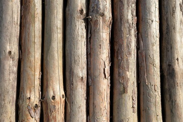 Wooden tree trunk wall. Close up and isolated. 
