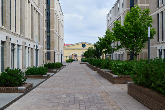 A modern urban street, adorned with greenery and a welcoming pedestrian pathway for all
