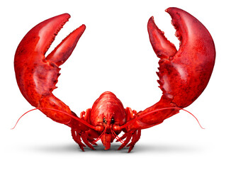 Lobster front view greeting on a white background as fresh seafood or shellfish fine dining food...