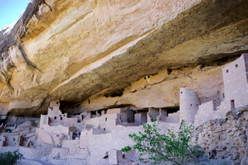 Expansive View of Cliff Palace under Sandstone Alcove at Mesa Verde