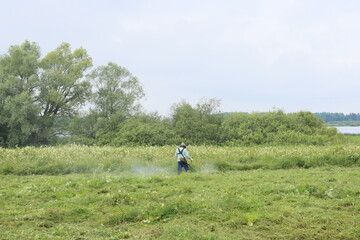 Fototapeta premium A Landscaper is Actively Maintaining a Beautiful Green Field with Essential Equipment