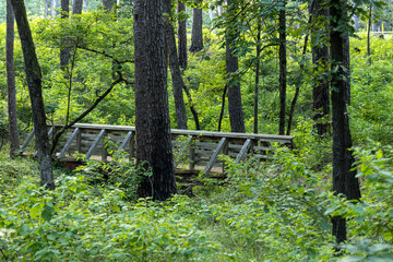 walking bridge over creek