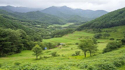 Lush valley landscape, forested hills, and a grassy plain