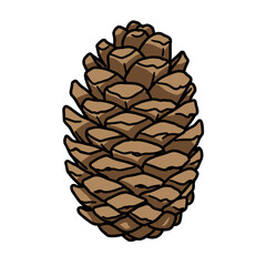 Pine cone illustration in hand-drawn flat vector style  