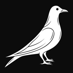 Silhouette Of a Pigeon