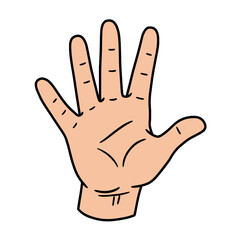 Fototapeta premium Hand-drawn vector illustration of a human hand with five fingers 