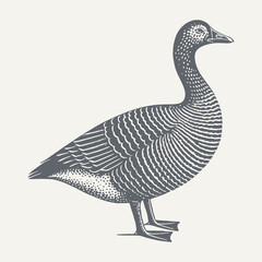 A detailed black and white illustration of a goose, perfect for design.