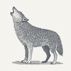 A striking black and white illustration of a wolf howling under the open sky. © RetroVector