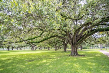 San Jacinto Monument, Texas