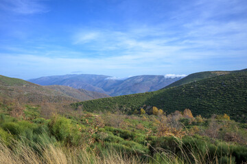 Mountain landscape with green hills and distant peaks