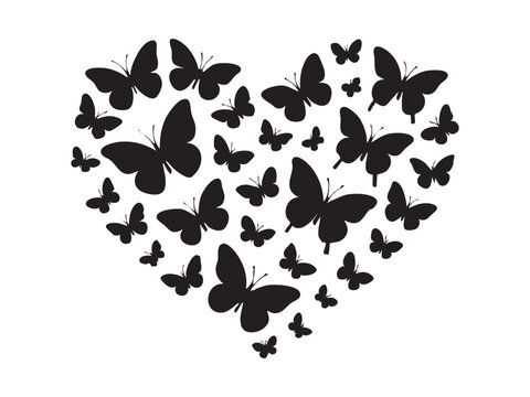 Black silhouette of multiple butterflies forming heart shape, isolated on white background. concept of love, nature, insects, beauty, graphic design element, decoration.