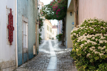 Quaint street in Cascais showcases beautiful cobblestones accented by blooming flowers and colorful buildings under soft sunlight. Tranquil atmosphere invites leisurely strolls and exploration.