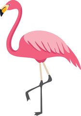 Pink flamingo, standing, profile view, vibrant colors, simple design.