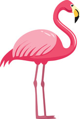 A vibrant pink flamingo stands gracefully, showcasing its elegant curved neck and long legs against a white background.