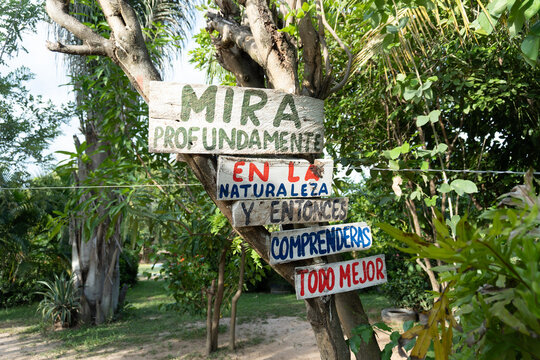 letras y frases pintadas en madera