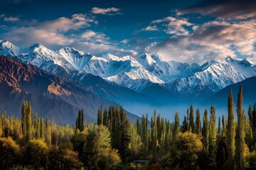 Serene Mountain Landscape With Evergreen Trees Scenery