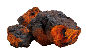 Close-up of chunks of reddish-black bark.  Chunks vary in size and shape, displaying a mix of dark charcoal and vibrant orange-red hues.  A natural, earthy texture is apparent