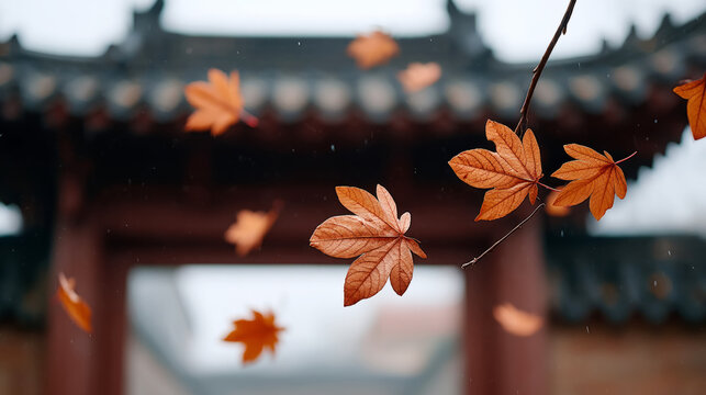 Autumn leaves falling around traditional confucian temple gate scene