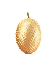 A single golden spiky exotic fruit isolated on a transparent background, symbolizing luxury and health