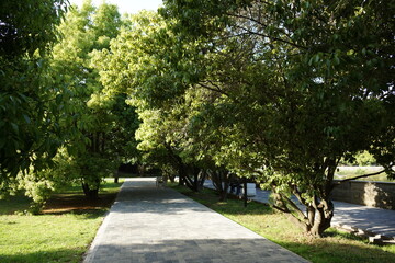 path in the park