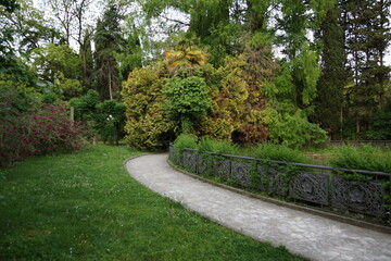 Fototapeta premium path in the park