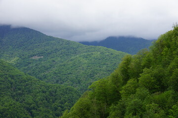 morning in the mountains
