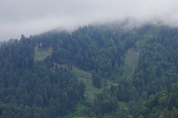 Fototapeta premium fog in the mountains