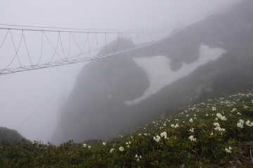 fog over the bridge