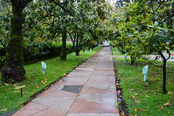 path in the park