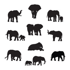 elephant silhouette