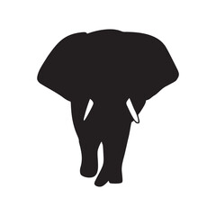 elephant silhouette
