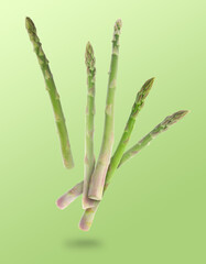 Fresh asparagus falling on green gradient background