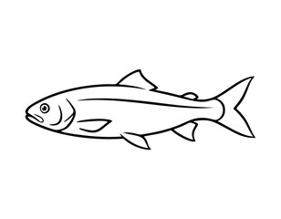 Vector silhouette of a fish swimming, monocolor and smooth outline