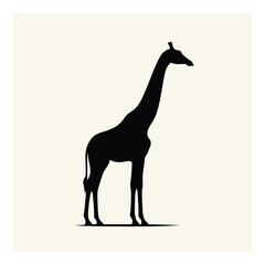 Vector art of a striking black silhouette of a giraffe stands tall against a plain, light background