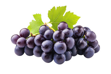 Fototapeta premium A cluster of ripe dark purple grapes with a green leaf isolated on transparent background