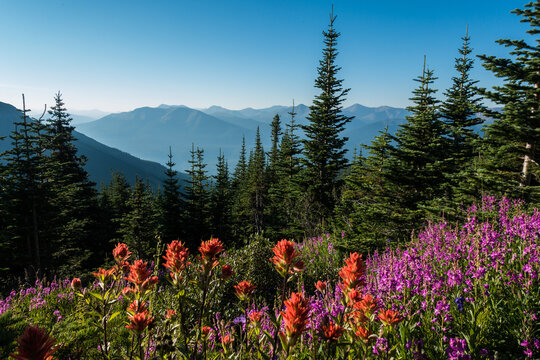 Mt Stern, Grande Cache