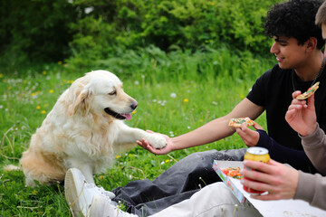 Two young guys eating pizza outdoor, picnic in park, dining outdoors