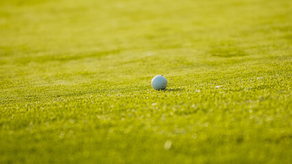 A lone golf ball sits on sunlit green grass with gentle shadows, evoking a calm golf course...