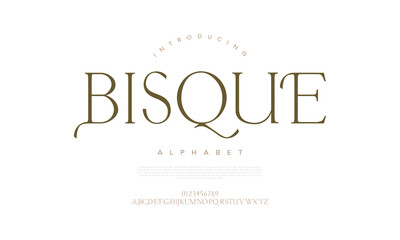 Luxurious serif font with stylish curves and timeless elegance. Perfect for branding and editorial