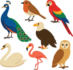 Vector art of an elegant assortment of diverse birds, featuring a peacock, parrot, eagle, swan, flamingo, robin, and owl, presented in a beautiful illustration isolated on transparent background