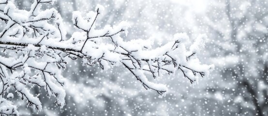 Close-up of snow-covered tree branches with heavy snowfall creating a serene and cold winter atmosphere