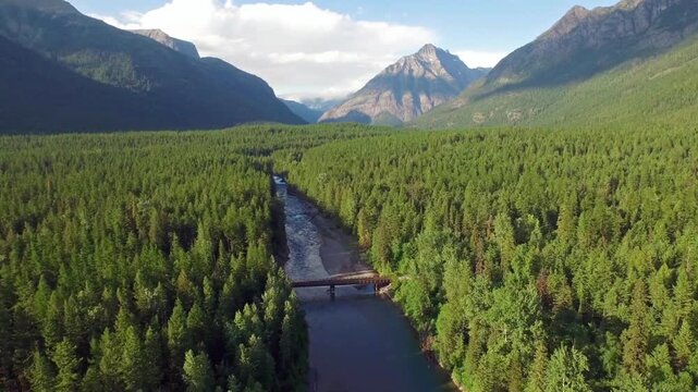 A river flows through a lush forest in glacier national park