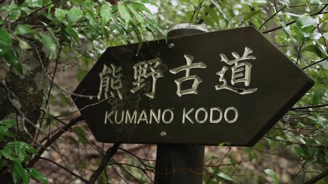 Signboard on the Trail Section from Takijiri‑ōji to Tainai‑kuguri on the Kumano Kodo Nakahechi Route, Tanabe, Wakayama, Japan　熊野古道・中辺路「滝尻王子から胎内くぐりの区間にある看板」 和歌山県田辺市中辺路町 