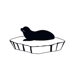 A seal is laying on a rock