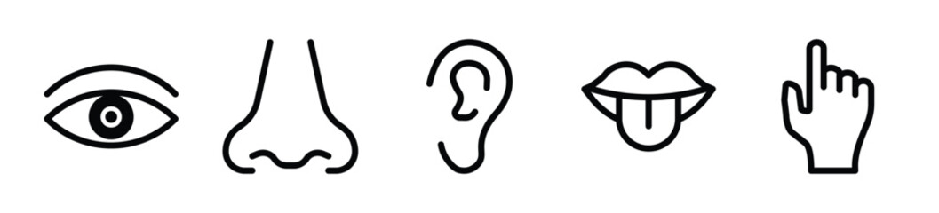 Five human sense line icon set. Set of Human sense line icon - Stock Vector 