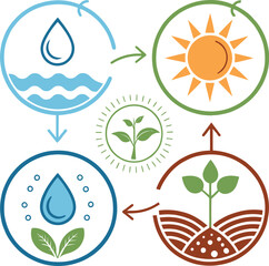 Graphic Cycle of Water, Sun, Plant Vector