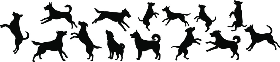 Cad drawing flat vector illustration, silhouette of playful dogs in motion, running, jumping, standing poses, black and white design artwork