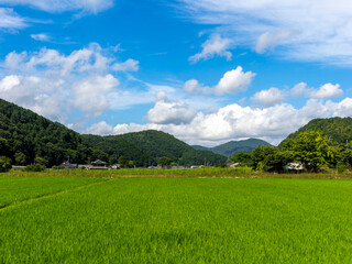 大阪府の能勢町宿野に広がる田園風景